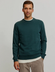 Sweatshirt "Tamarillo" - deep green